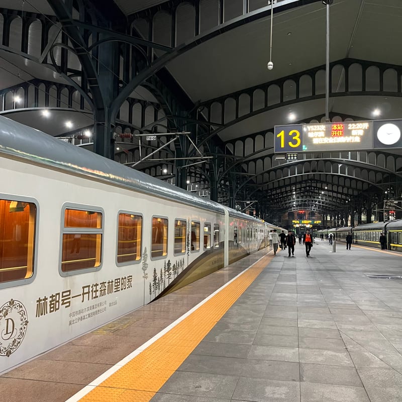 Lindu Express at the platform